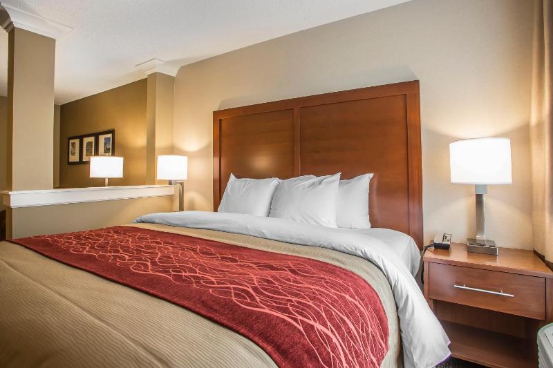 King Suite - Non-Smoking image 2