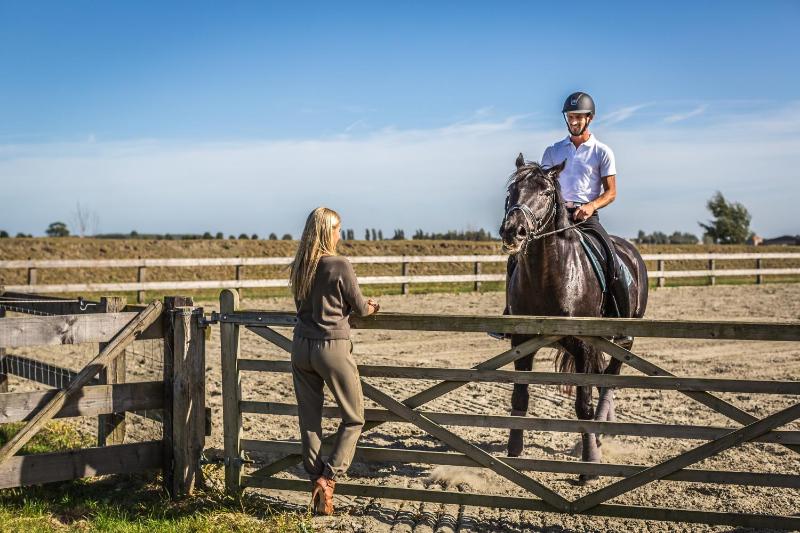 Het Zwaluwnest - image 4