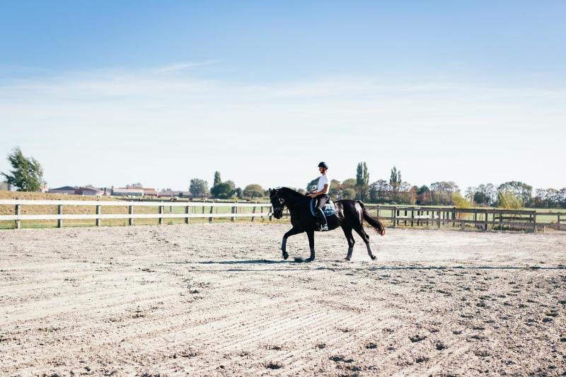 Het Zwaluwnest - image 3