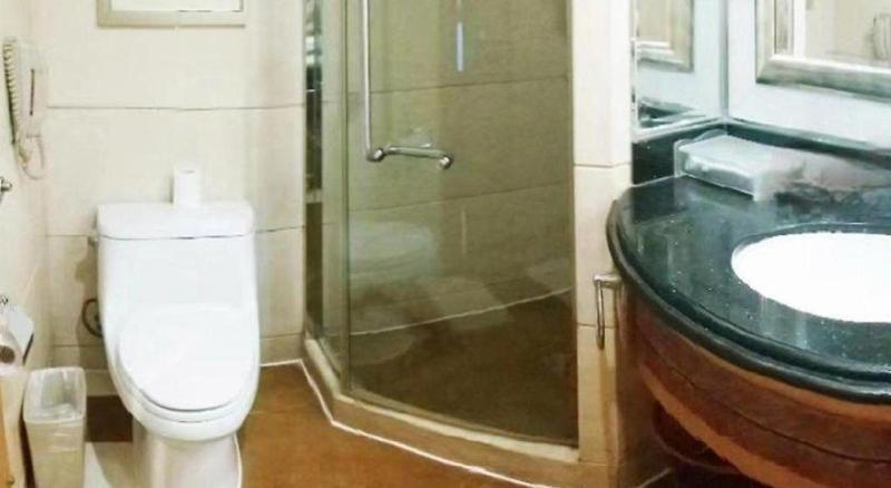 Wuhan Premier Mayflowers Hotel - image 22