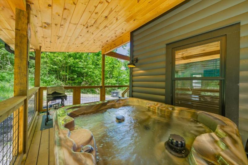 Wiley's Bend cabin - image 40