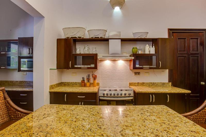 Luxury 4BR Villa Sleeps 10 La Cana Punta Cana - image 5