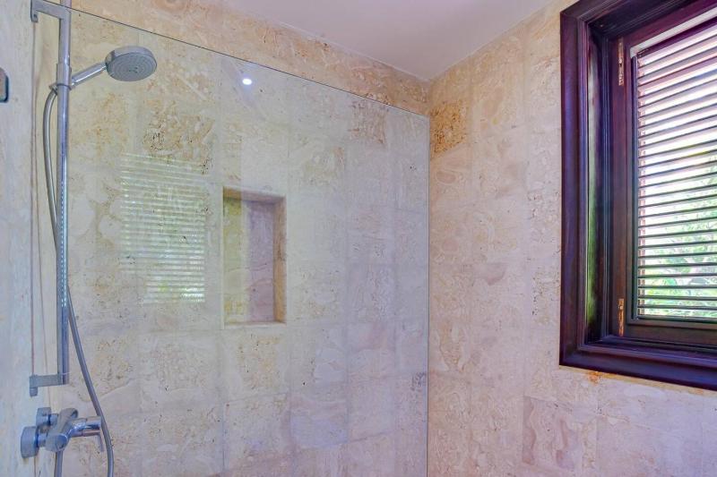 Luxury 4BR Villa Sleeps 10 La Cana Punta Cana - image 10