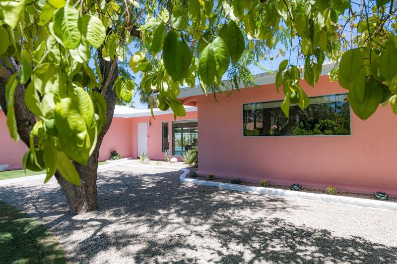 La Casa Rosa - image 4