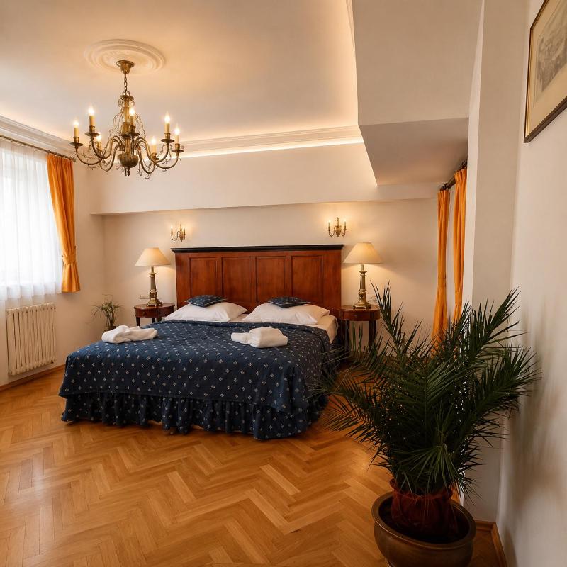 Salvator Hotel - image 49
