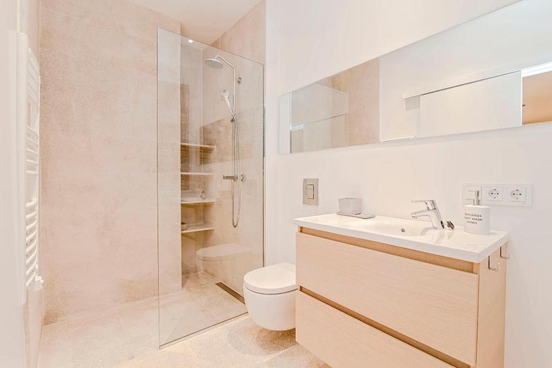 One-Bedroom Apartment image 4