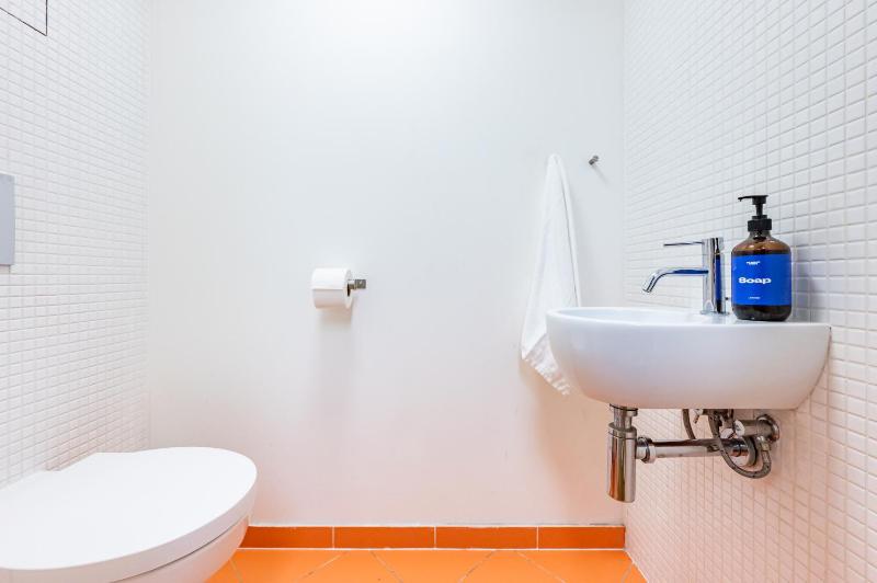Prague Days - Loft with Garage and Workspace right next to Wenceslas Square - image 8
