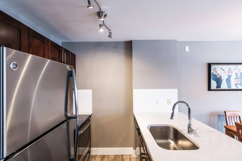 Whistler Blackcomb Vacation Rentals - Village locations - image 10
