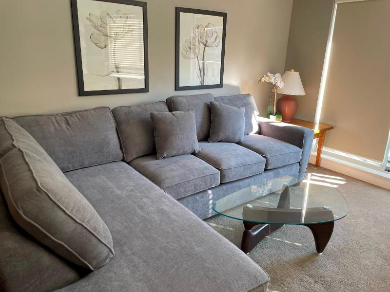 Whistler Blackcomb Vacation Rentals - Village locations - image 3