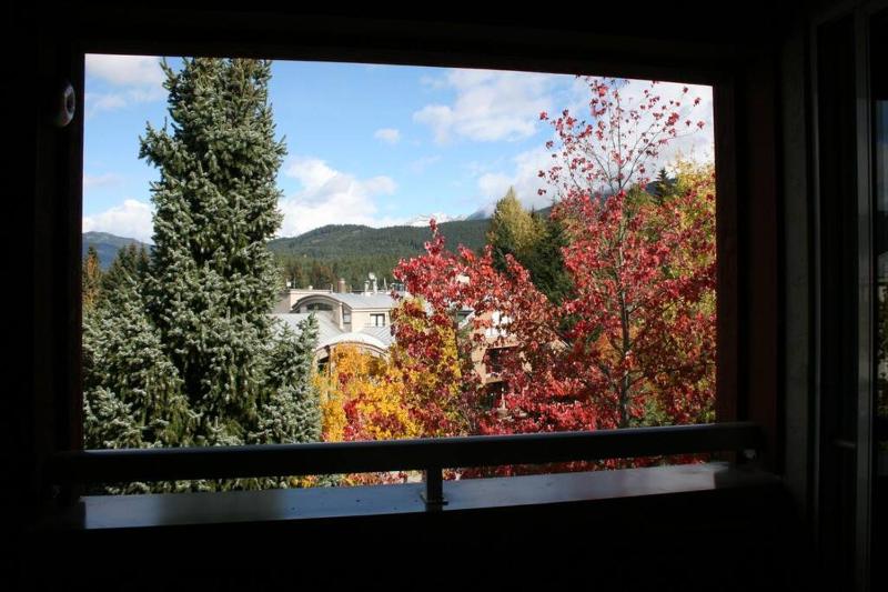 Whistler Blackcomb Vacation Rentals - Village locations - image 22