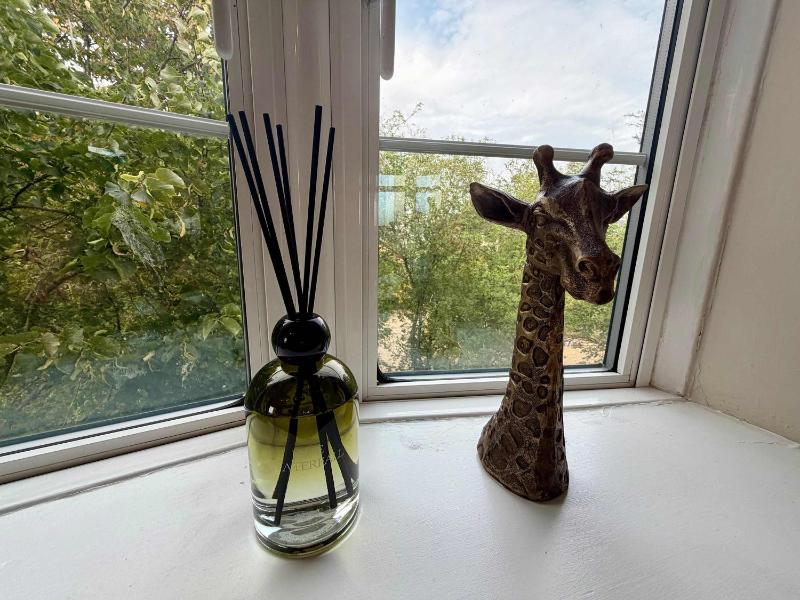 Central Brighton Amazing City Views Sleeps 6 - image 21