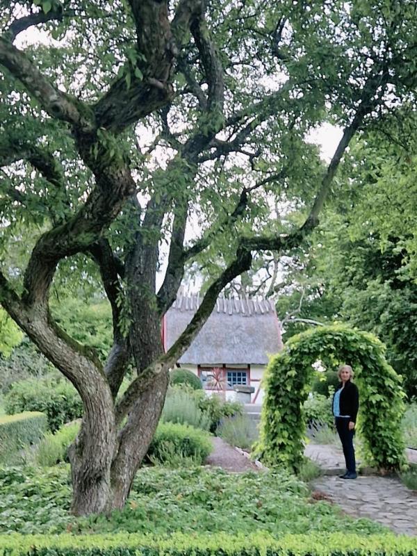Malmoxie Unic garden House - image 42