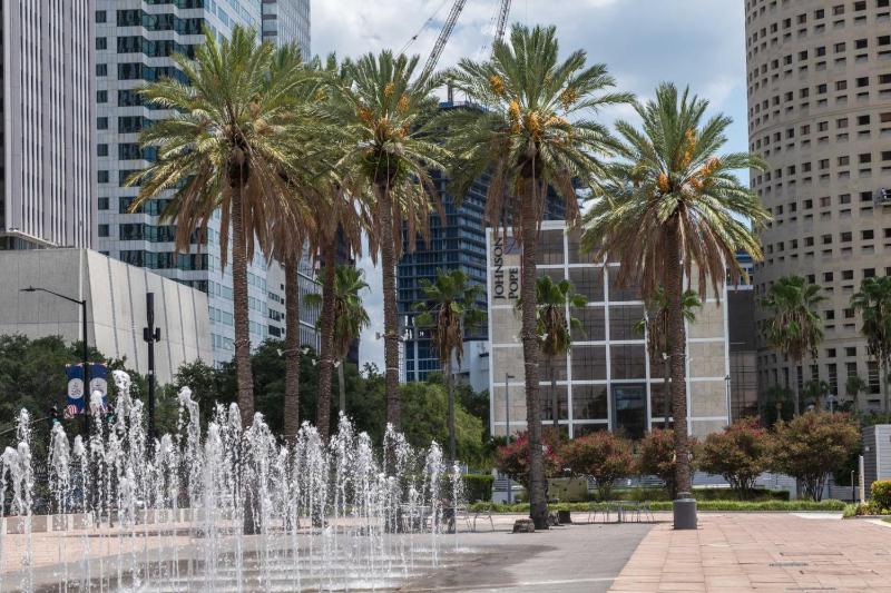 Boho Bliss Downtown Retreat - Tampa Heights -Tampa - image 10