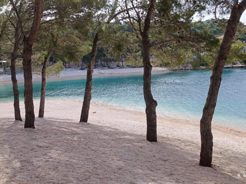 Dalmatia Apartments - One Bedroom apartment with Balcony and Sea View 4 - image 16