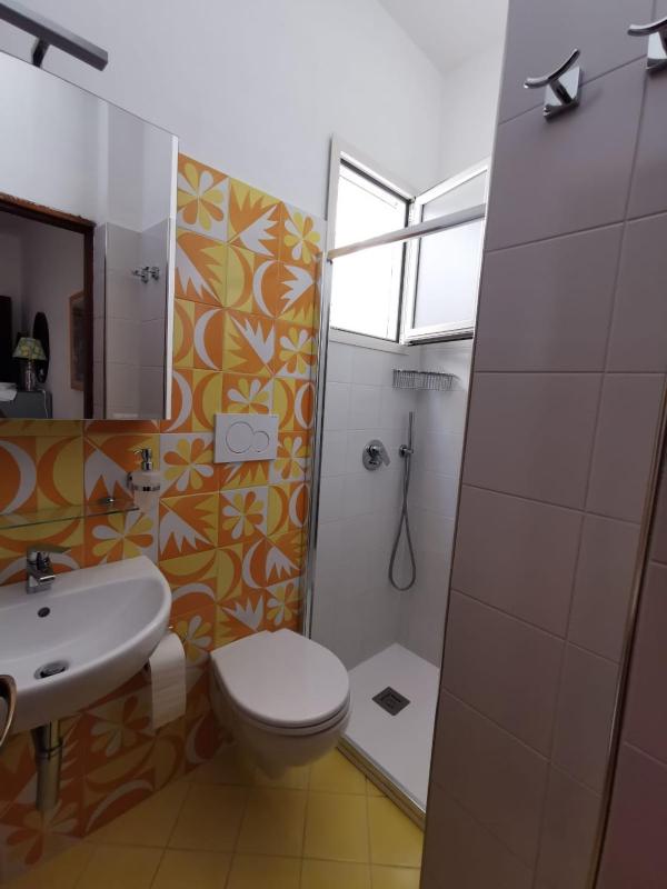 Bouganville & Sea - image 42