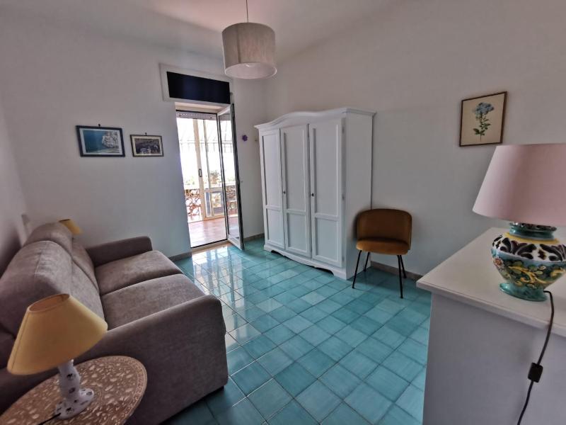 Bouganville & Sea - image 27