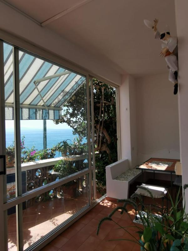 Bouganville & Sea - image 38