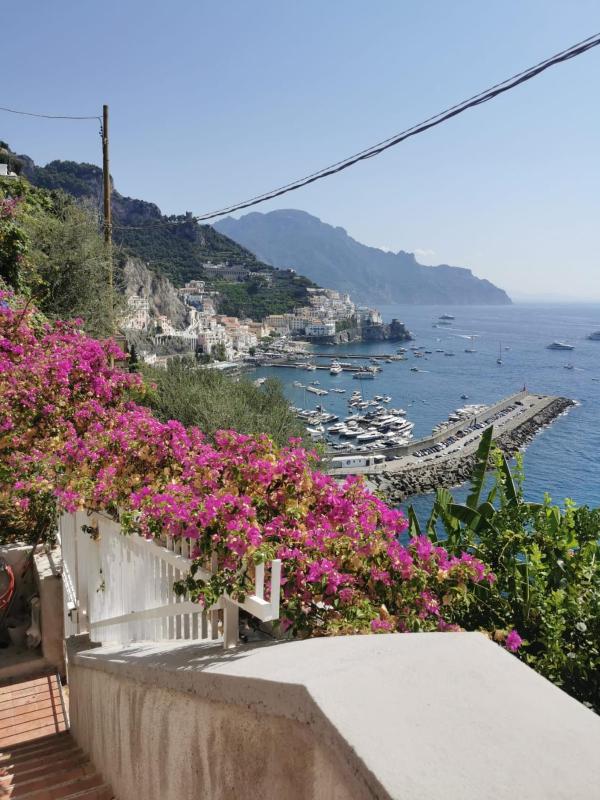 Bouganville & Sea - image 12
