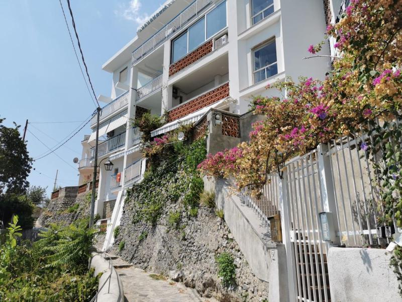 Bouganville & Sea - image 35