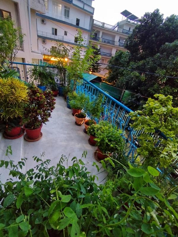 Om Tat Sat Homestay - image 7