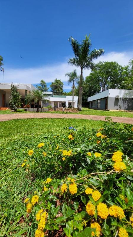 Quinta 