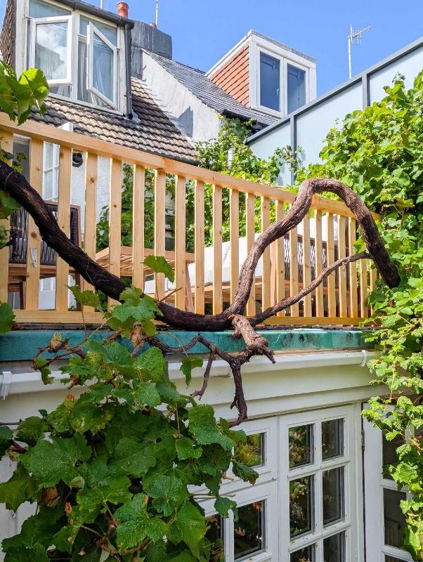 Old Vine Cottage - Terrace - by Brighton Holiday Lets - image 22