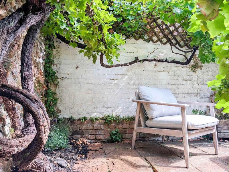 Old Vine Cottage - Terrace - by Brighton Holiday Lets - image 23