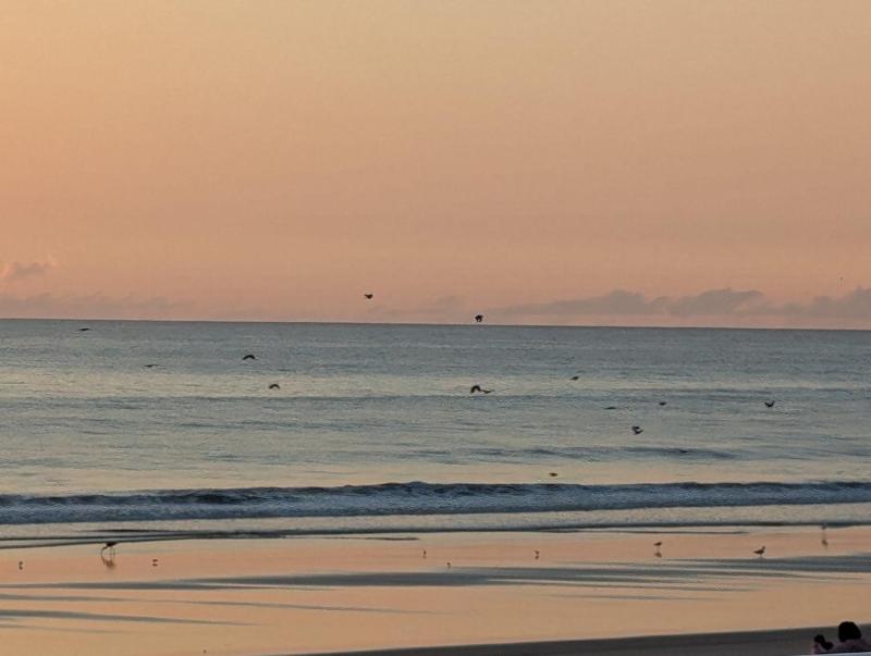 Surfside Studio - image 9