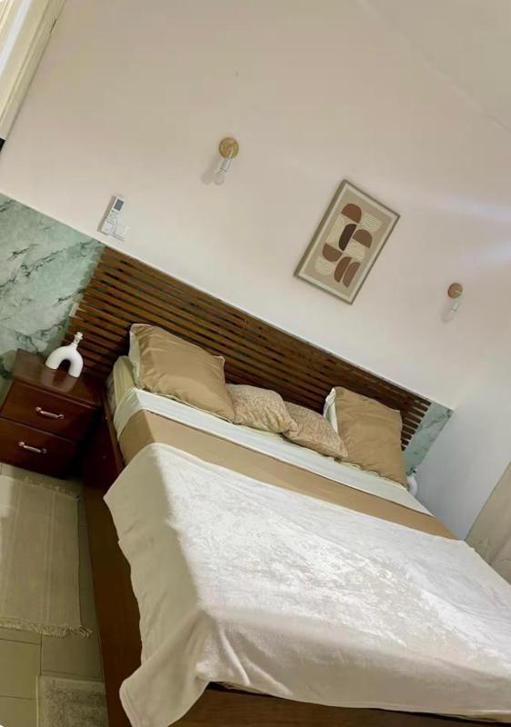 Appartement plateau - image 3