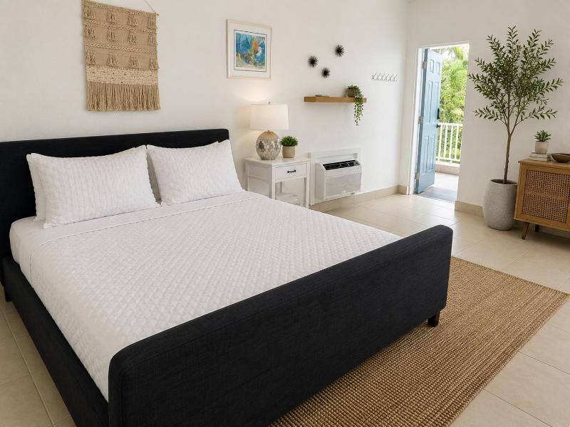Bright Queen Room Steps from the Beach - image 16