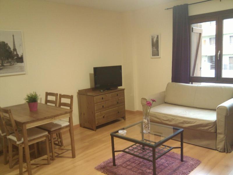 One-Bedroom Apartment (2-4 Adults)  image 3