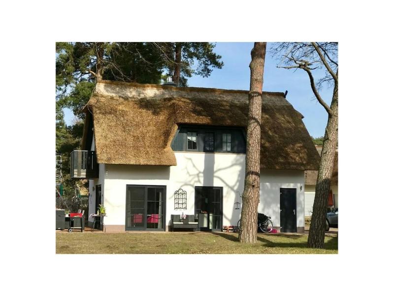 My Little Zanzibar 1 - image 1
