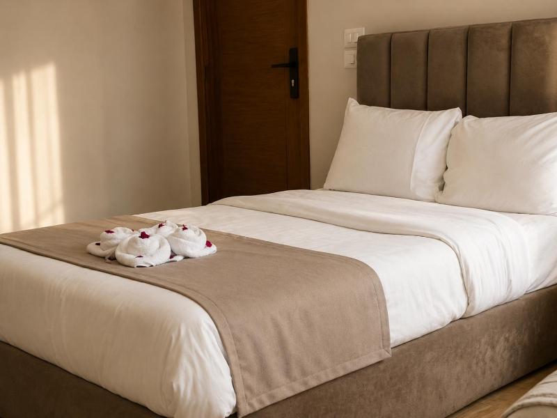 Pyramids Boutique Hotel - image 7