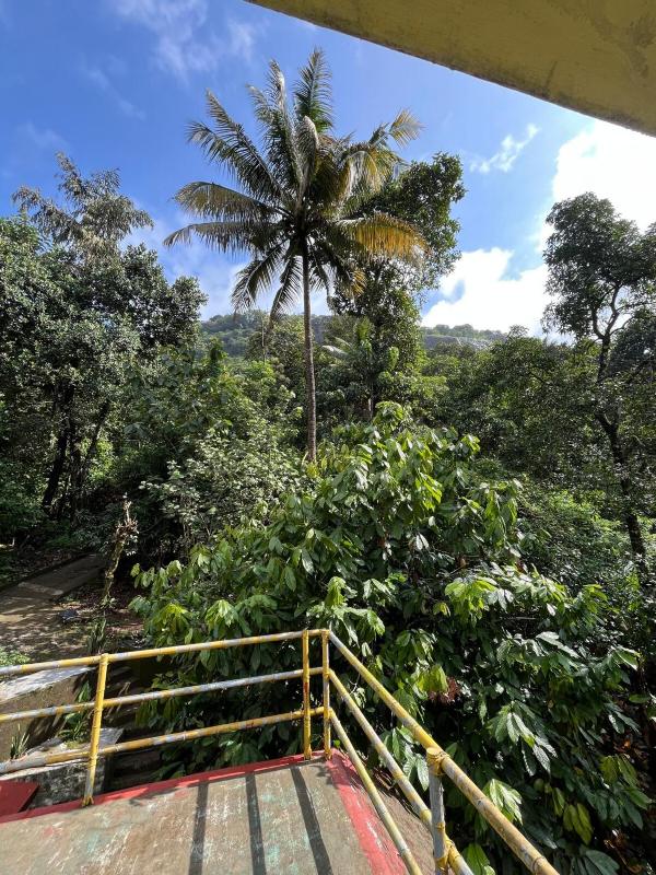 The Wild Ascent Private Stay Near Munnar - image 27