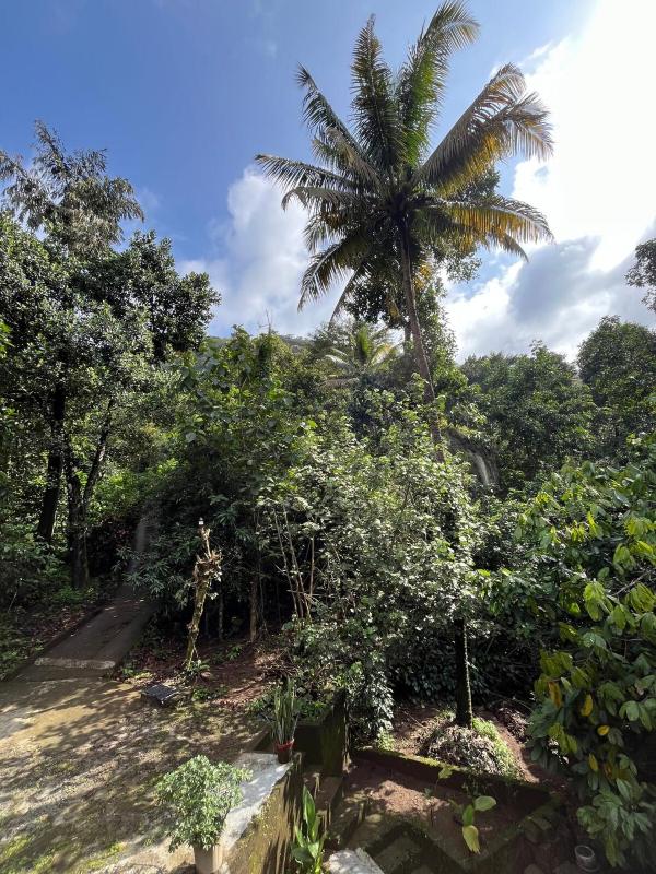The Wild Ascent Private Stay Near Munnar - image 20