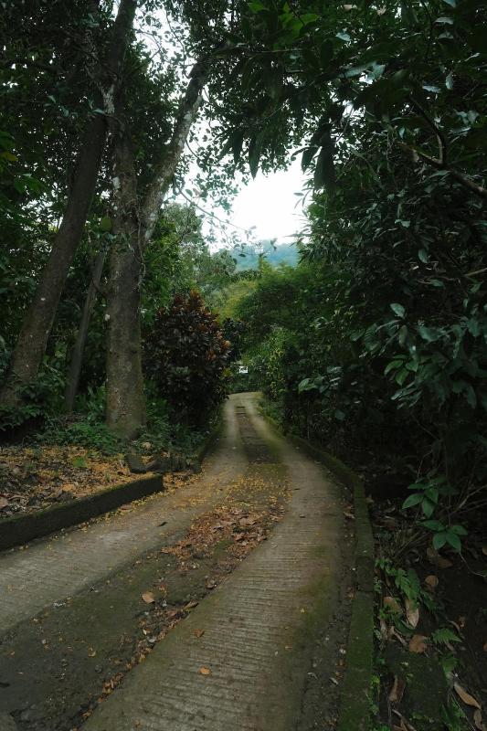 The Wild Ascent Private Stay Near Munnar - image 34
