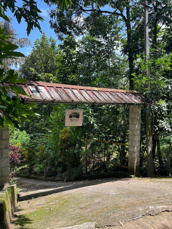 The Wild Ascent Private Stay Near Munnar - image 17