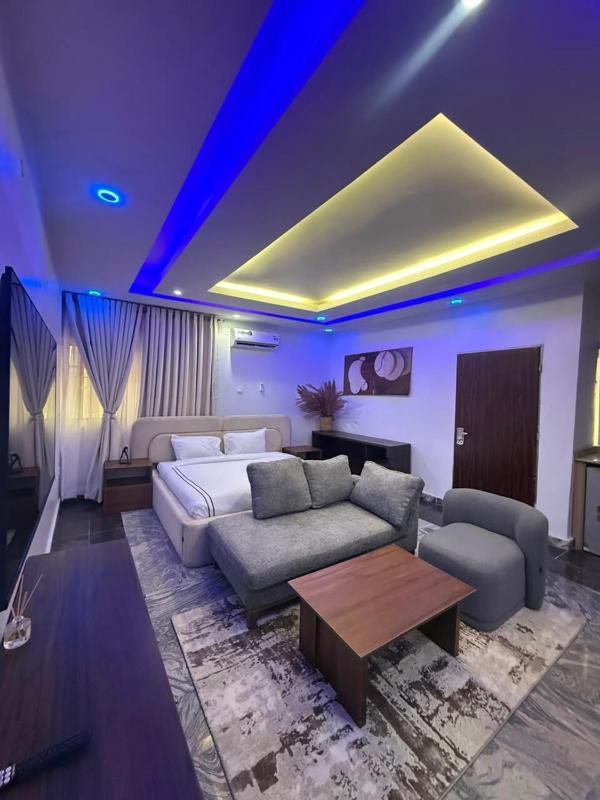 Elegant Studio in WuseAbuja - image 14