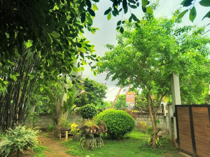 Song Bird Home stay-Tangalle - image 43