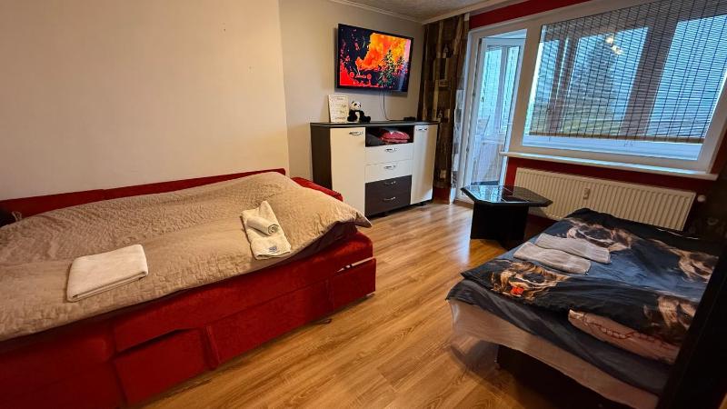 Cozy 9th floor studio with balcony and free parking - image 9