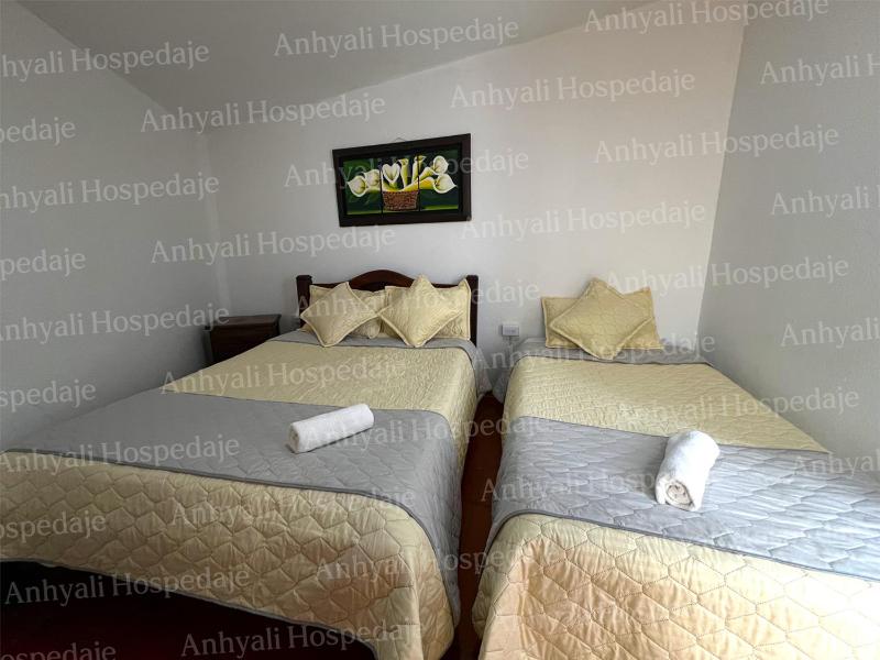 anyalihost - image 15