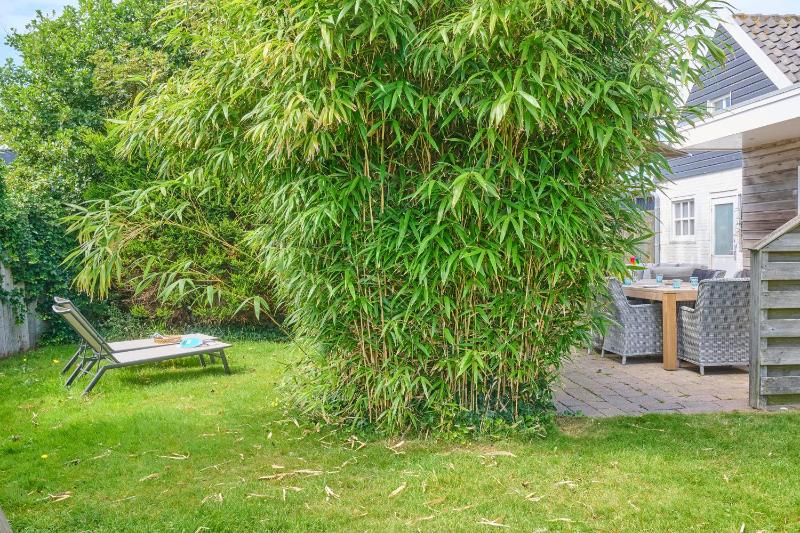 Strandvilla Roots - image 24