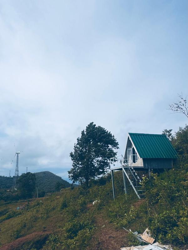 The Highland Nest - image 13