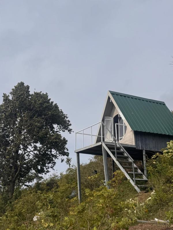 The Highland Nest - image 12