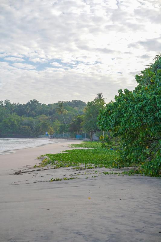 Monara Blue Beach - image 11