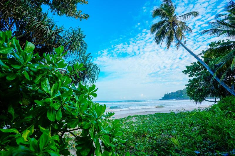 Monara Blue Beach - image 13