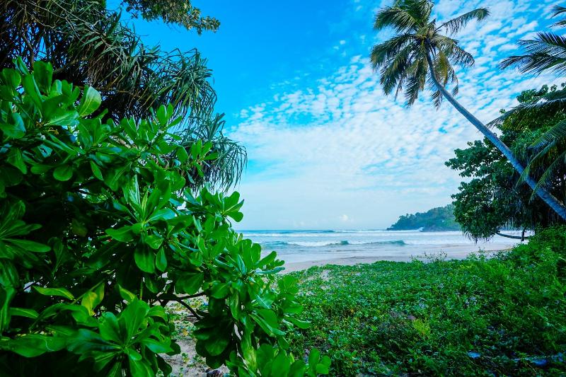 Monara Blue Beach - image 48