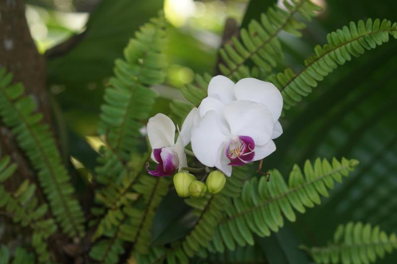 Pu Luong Natura - image 39