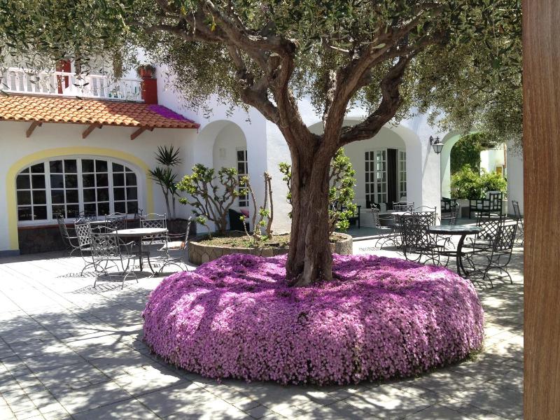 Hotel La Scogliera - image 11