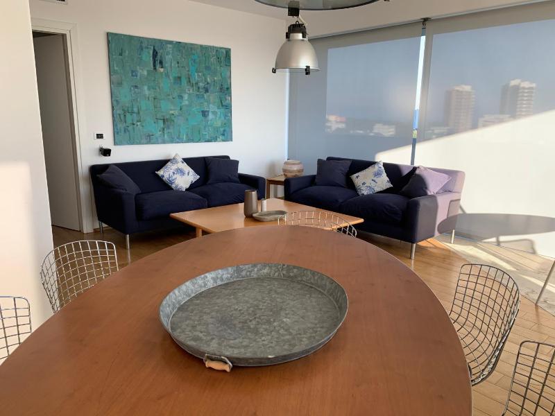 Panoramic penthouse - image 12